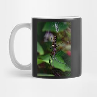 spider Mug